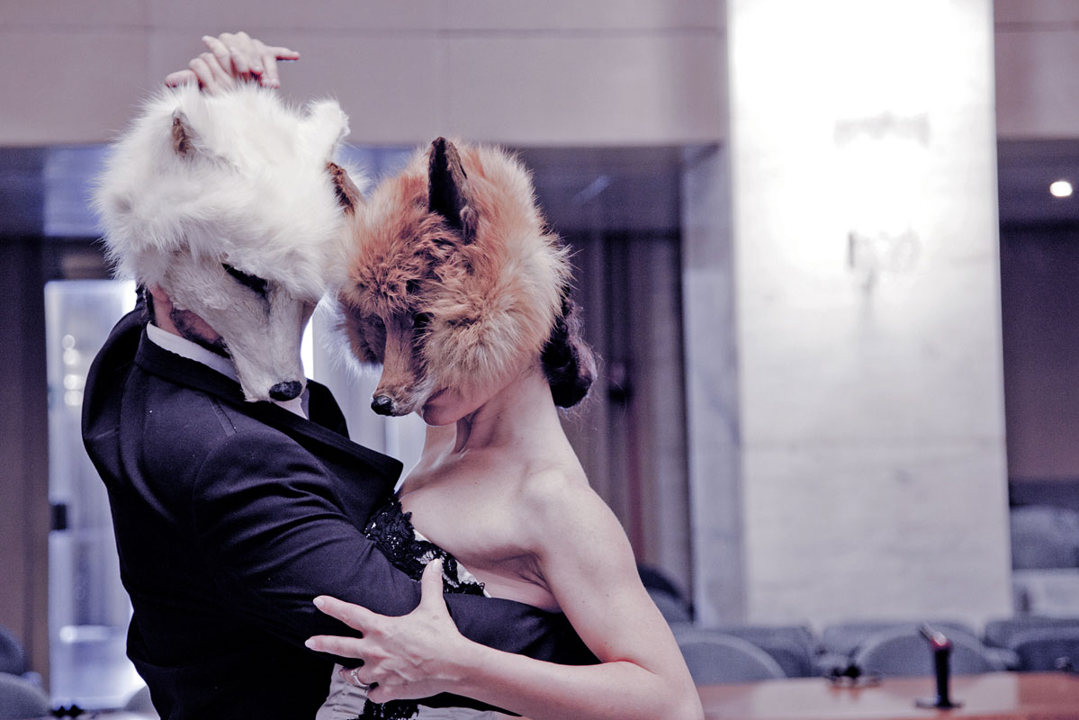 The-Fox-and-the-Wolf_cover